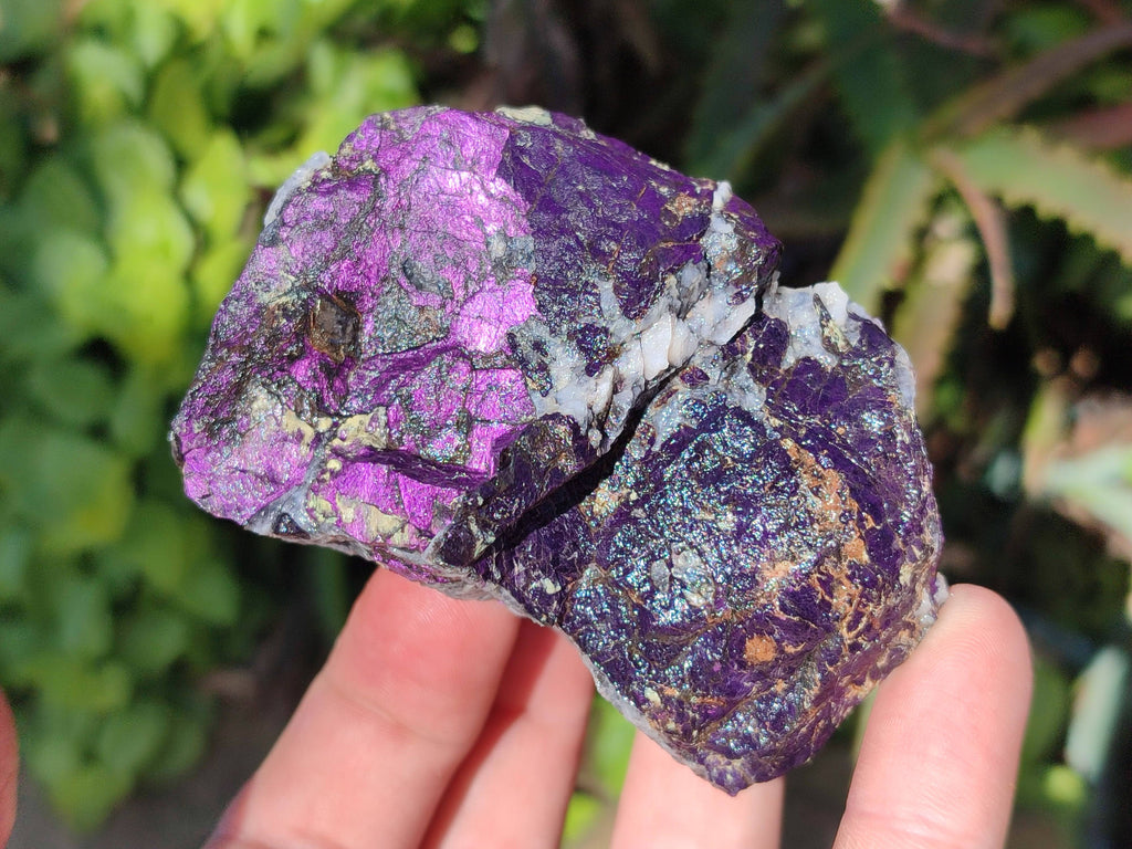 Natural Metallic Purpurite Specimens x 12 From Erongo, Namibia - Toprock Gemstones and Minerals 