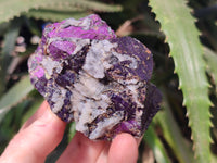 Natural Metallic Purpurite Specimens x 12 From Erongo, Namibia