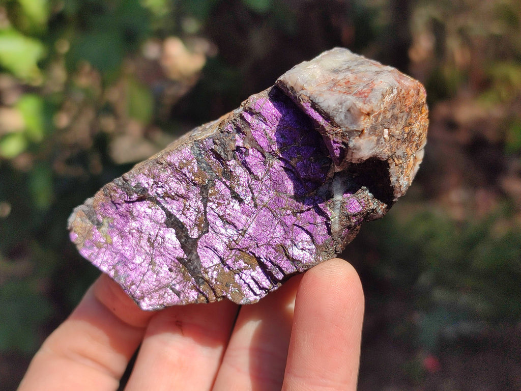 Natural Metallic Purpurite Specimens x 12 From Erongo, Namibia - Toprock Gemstones and Minerals 