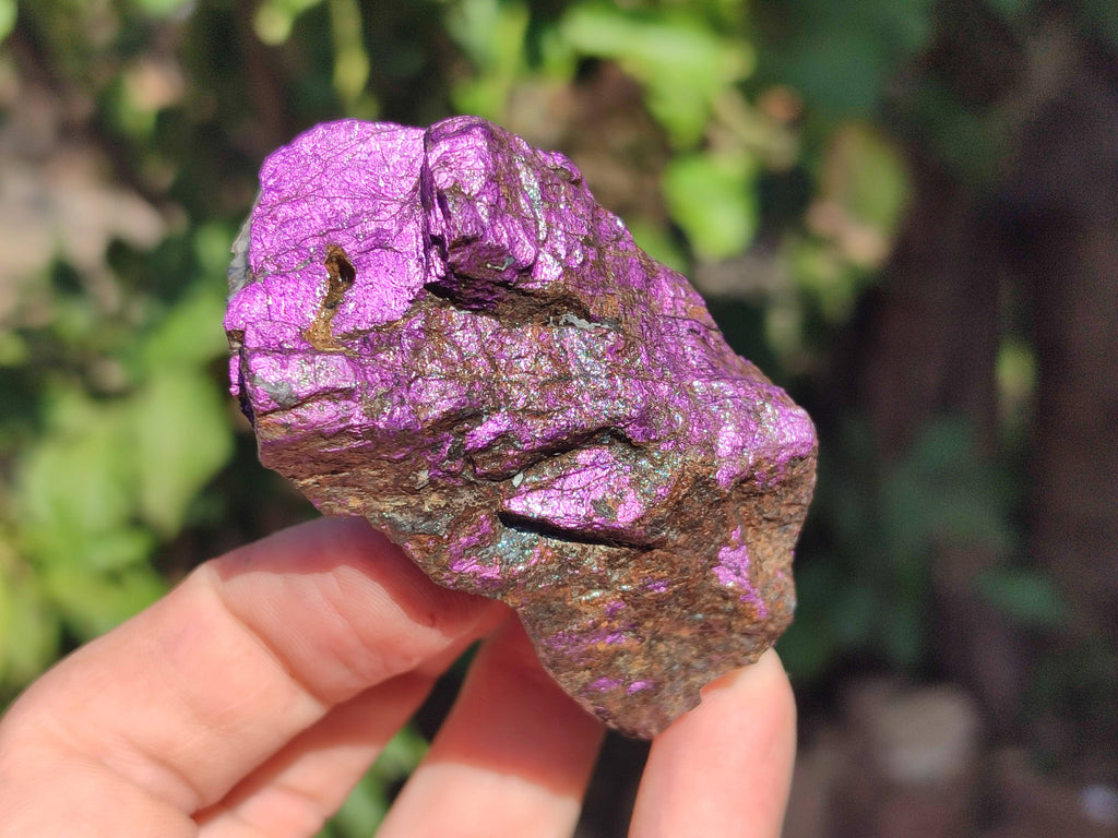 Natural Metallic Purpurite Specimens x 12 From Erongo, Namibia - Toprock Gemstones and Minerals 