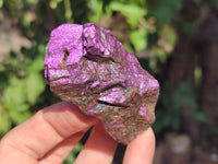 Natural Metallic Purpurite Specimens x 12 From Erongo, Namibia
