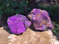 Natural Metallic Purpurite Specimens x 12 From Erongo, Namibia