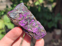 Natural Metallic Purpurite Specimens x 12 From Erongo, Namibia