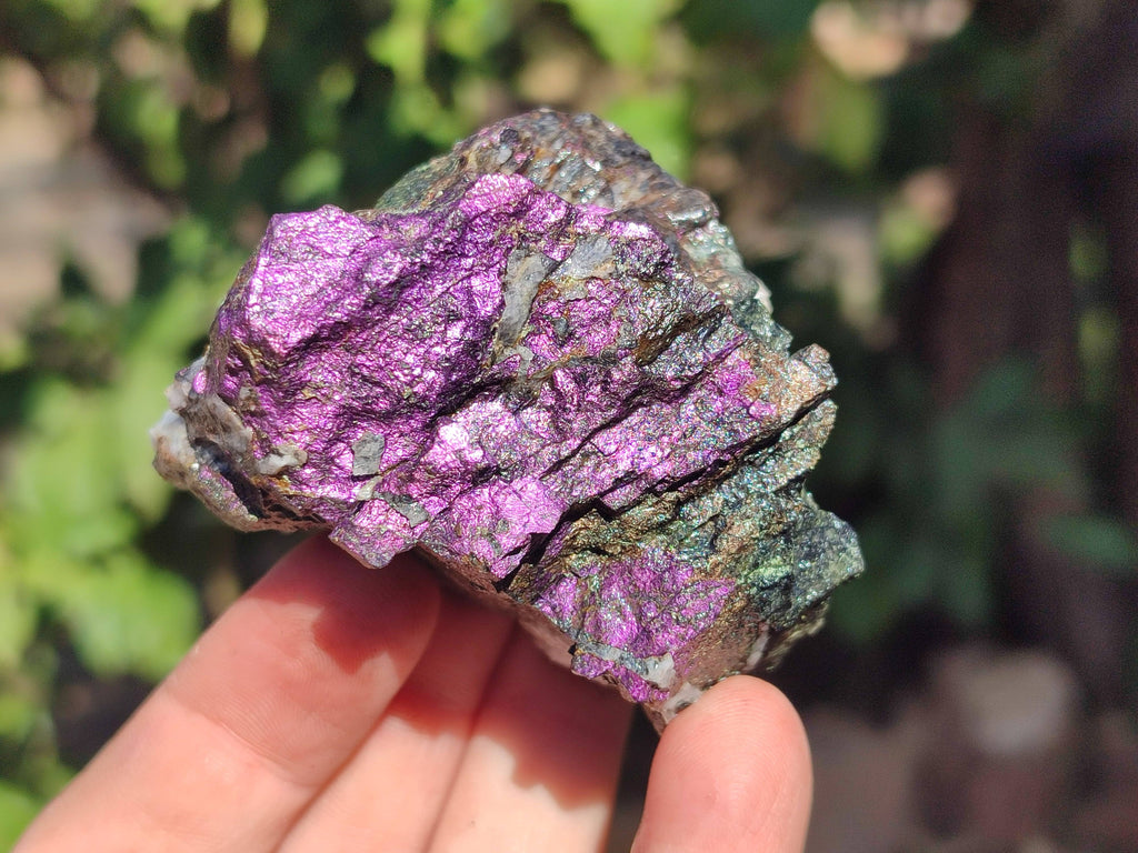Natural Metallic Purpurite Specimens x 12 From Erongo, Namibia - Toprock Gemstones and Minerals 