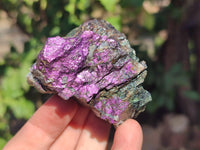 Natural Metallic Purpurite Specimens x 12 From Erongo, Namibia
