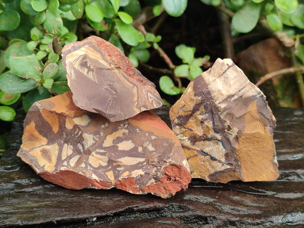 Natural Selected Nguni Jasper Cobbed Specimens x 26 From Prieska, South Africa