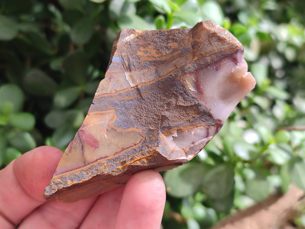 Natural Selected Nguni Jasper Cobbed Specimens x 26 From Prieska, South Africa - Toprock Gemstones and Minerals 