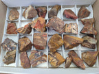 Natural Selected Nguni Jasper Cobbed Specimens x 26 From Prieska, South Africa - Toprock Gemstones and Minerals 