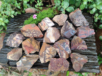 Natural Selected Nguni Jasper Cobbed Specimens x 26 From Prieska, South Africa - Toprock Gemstones and Minerals 