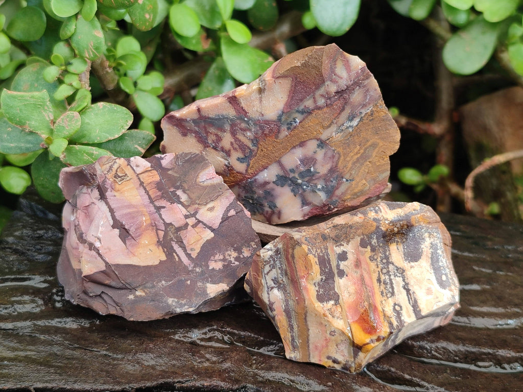 Natural Selected Nguni Jasper Cobbed Specimens x 26 From Prieska, South Africa - Toprock Gemstones and Minerals 