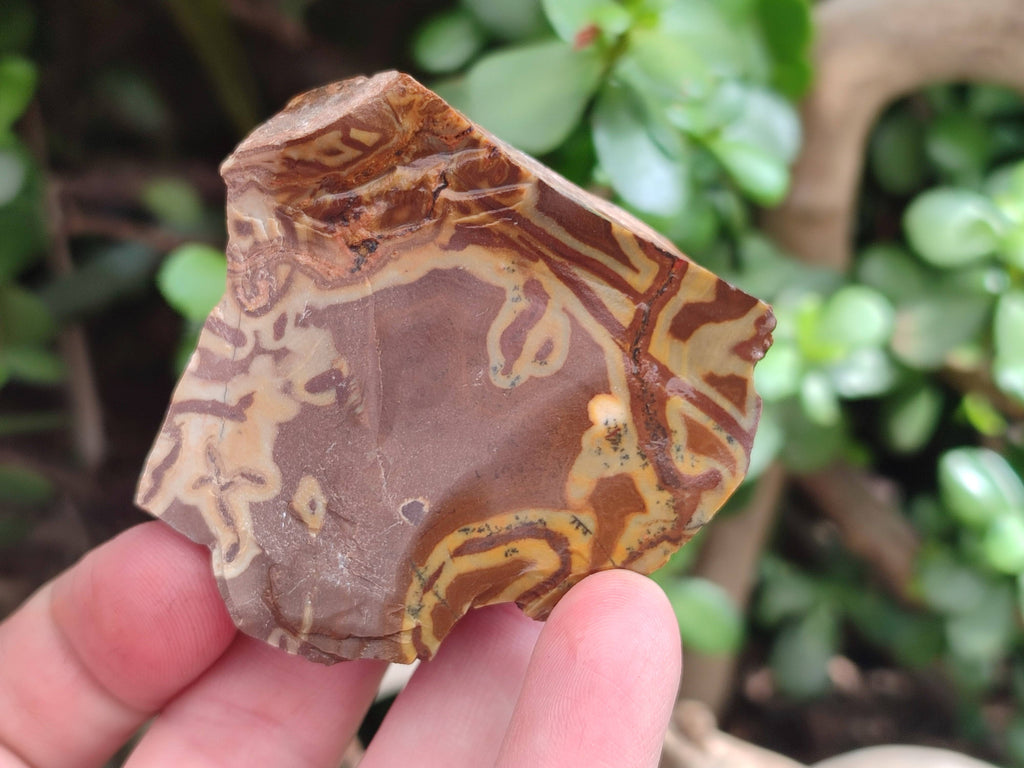 Natural Selected Nguni Jasper Cobbed Specimens x 26 From Prieska, South Africa - Toprock Gemstones and Minerals 