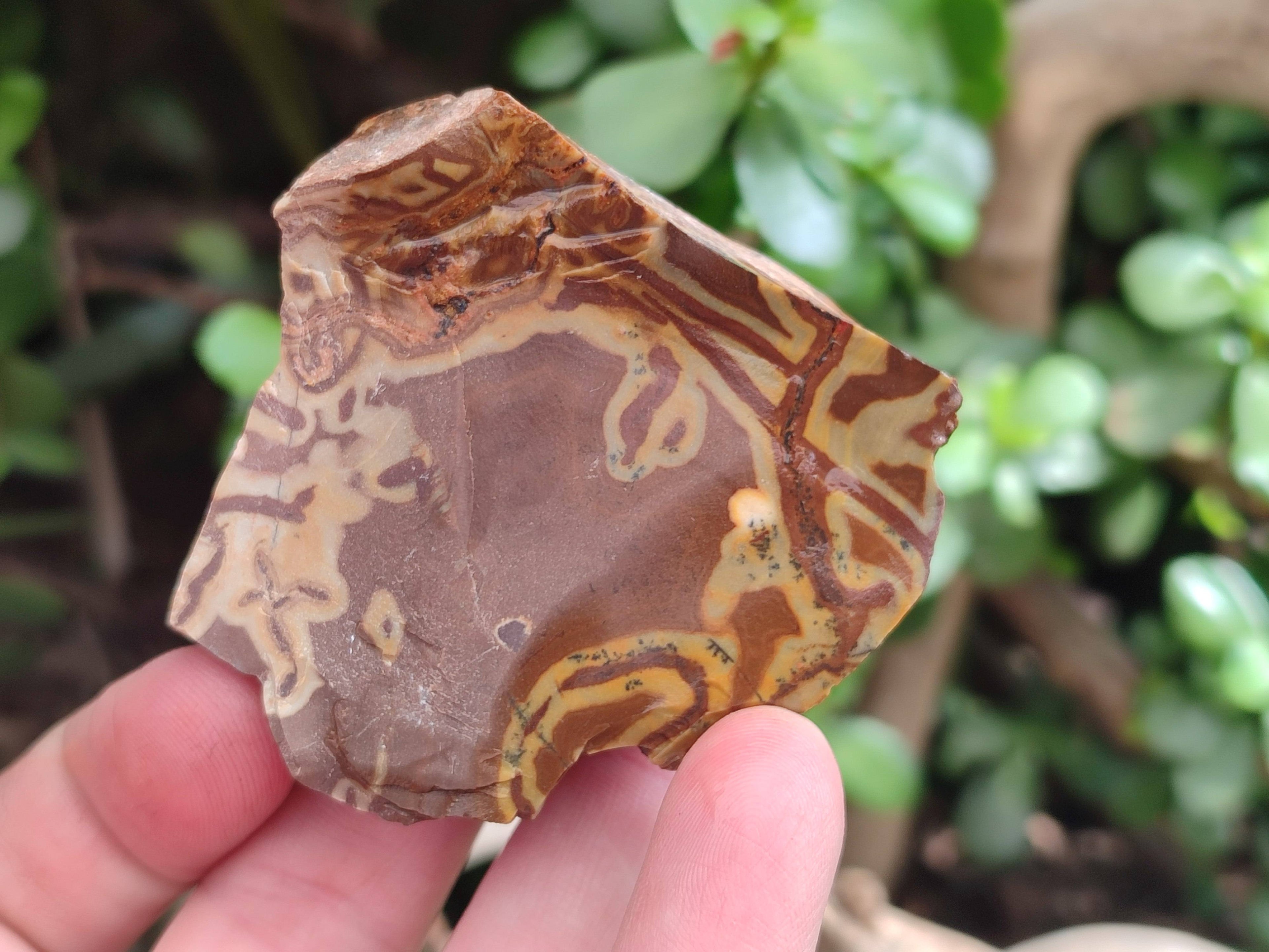 Natural Selected Nguni Jasper Cobbed Specimens x 26 From Prieska, South Africa - Toprock Gemstones and Minerals 