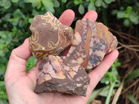 Natural Selected Nguni Jasper Cobbed Specimens x 26 From Prieska, South Africa - Toprock Gemstones and Minerals 