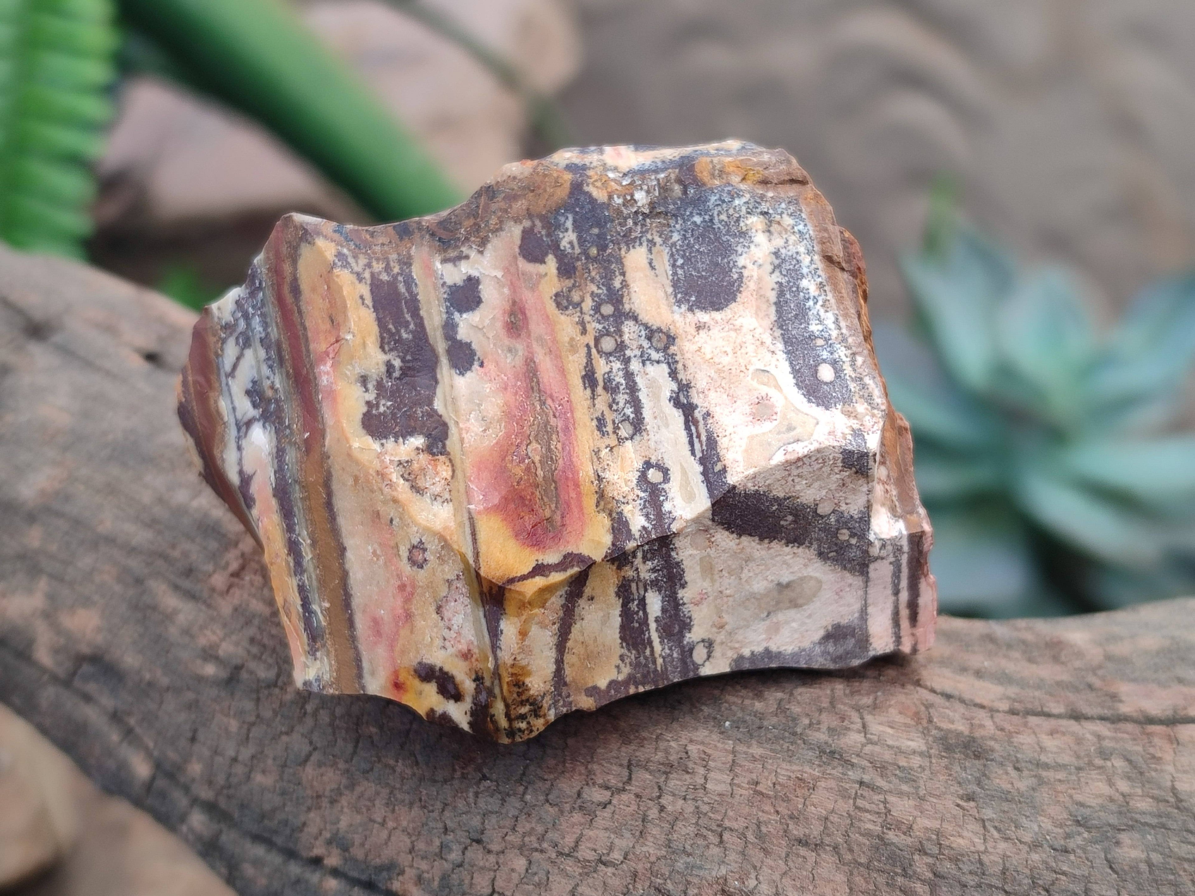 Natural Selected Nguni Jasper Cobbed Specimens x 26 From Prieska, South Africa - Toprock Gemstones and Minerals 