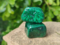 Polished Flower Banded Malachite Free Forms x 35 From Congo