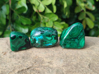 Polished Flower Banded Malachite Free Forms x 35 From Congo