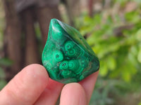 Polished Flower Banded Malachite Free Forms x 35 From Congo