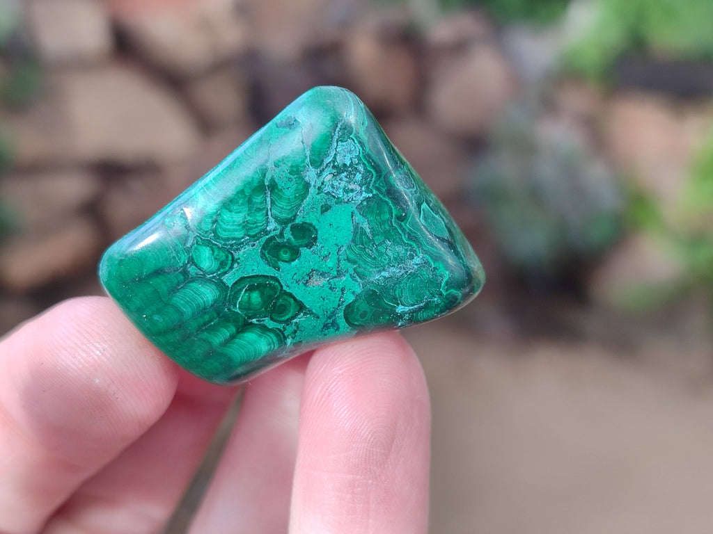 Polished Flower Banded Malachite Free Forms x 35 From Congo - Toprock Gemstones and Minerals 