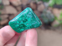 Polished Flower Banded Malachite Free Forms x 35 From Congo