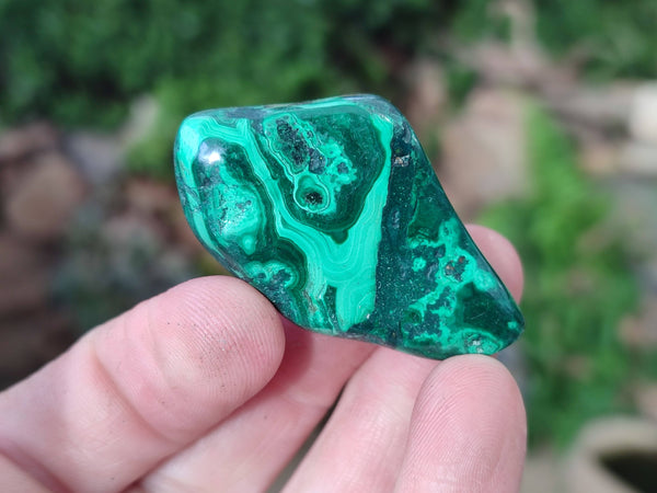 Polished Flower Banded Malachite Free Forms x 35 From Congo