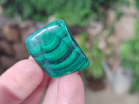 Polished Flower Banded Malachite Free Forms x 35 From Congo