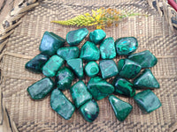 Polished Flower Banded Malachite Free Forms x 35 From Congo