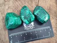 Polished Flower Banded Malachite Free Forms x 35 From Congo