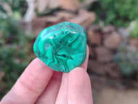 Polished Flower Banded Malachite Free Forms x 35 From Congo