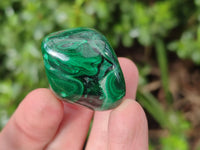 Polished Flower Banded Malachite Free Forms x 35 From Congo