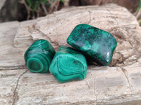 Polished Flower Banded Malachite Free Forms x 35 From Congo