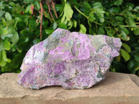 Natural Stichtite Specimens x 4 From Barberton, South Africa