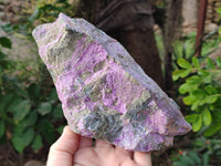 Natural Stichtite Specimens x 4 From Barberton, South Africa