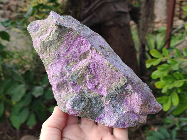 Natural Stichtite Specimens x 4 From Barberton, South Africa