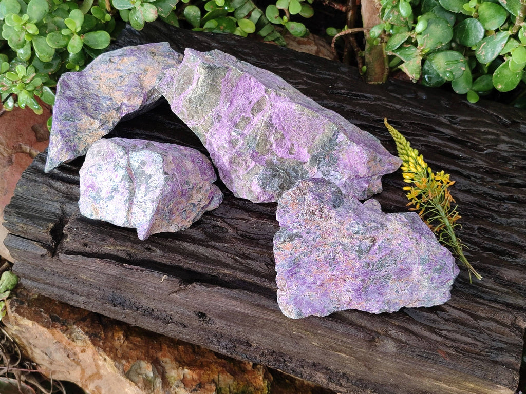 Natural Stichtite Specimens x 4 From Barberton, South Africa - Toprock Gemstones and Minerals 
