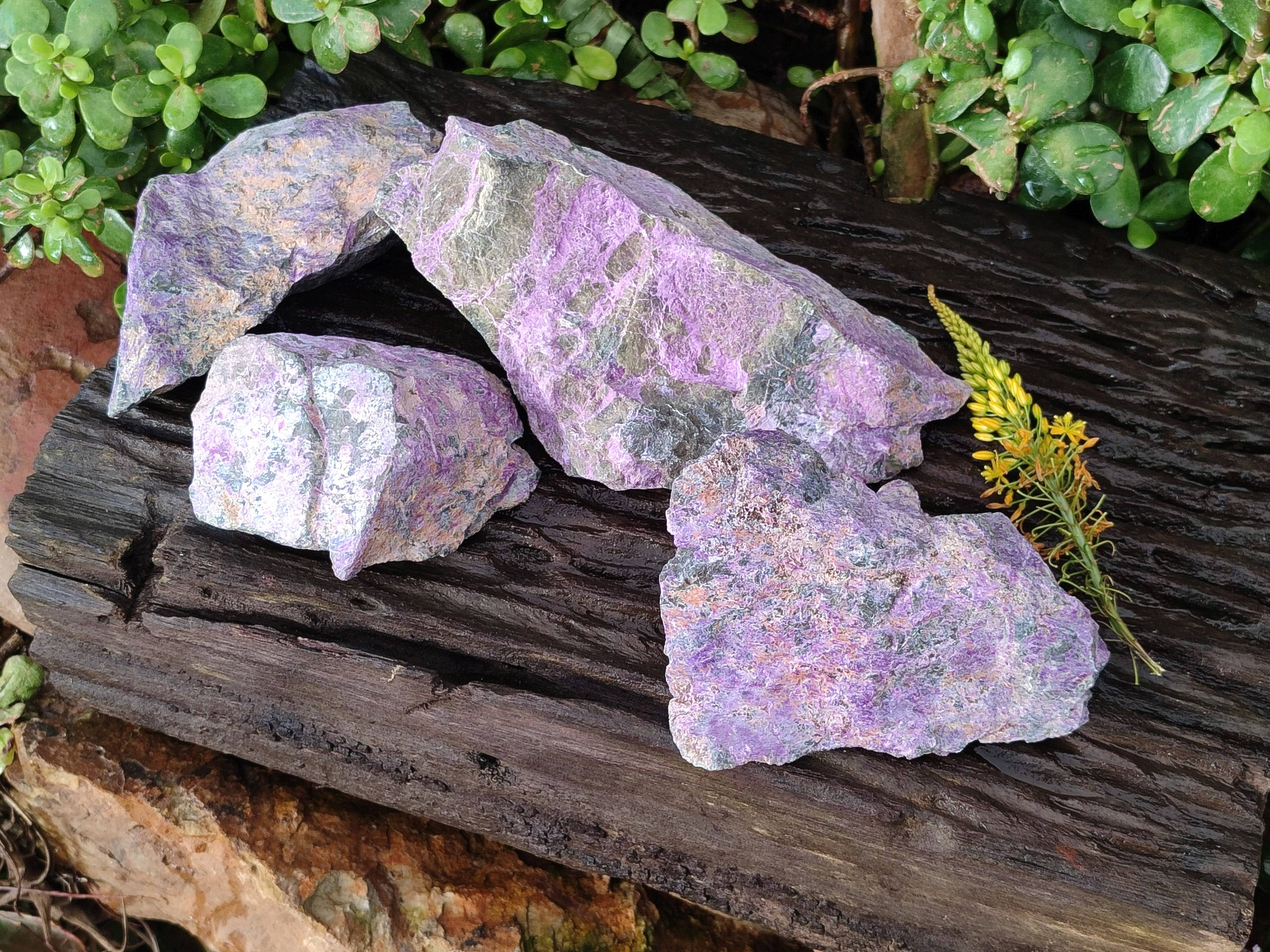 Natural Stichtite Specimens x 4 From Barberton, South Africa - Toprock Gemstones and Minerals 