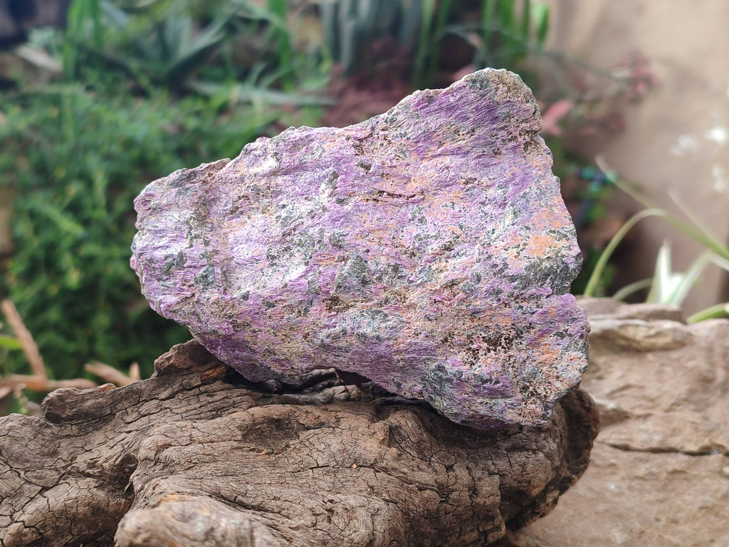 Natural Stichtite Specimens x 4 From Barberton, South Africa - Toprock Gemstones and Minerals 