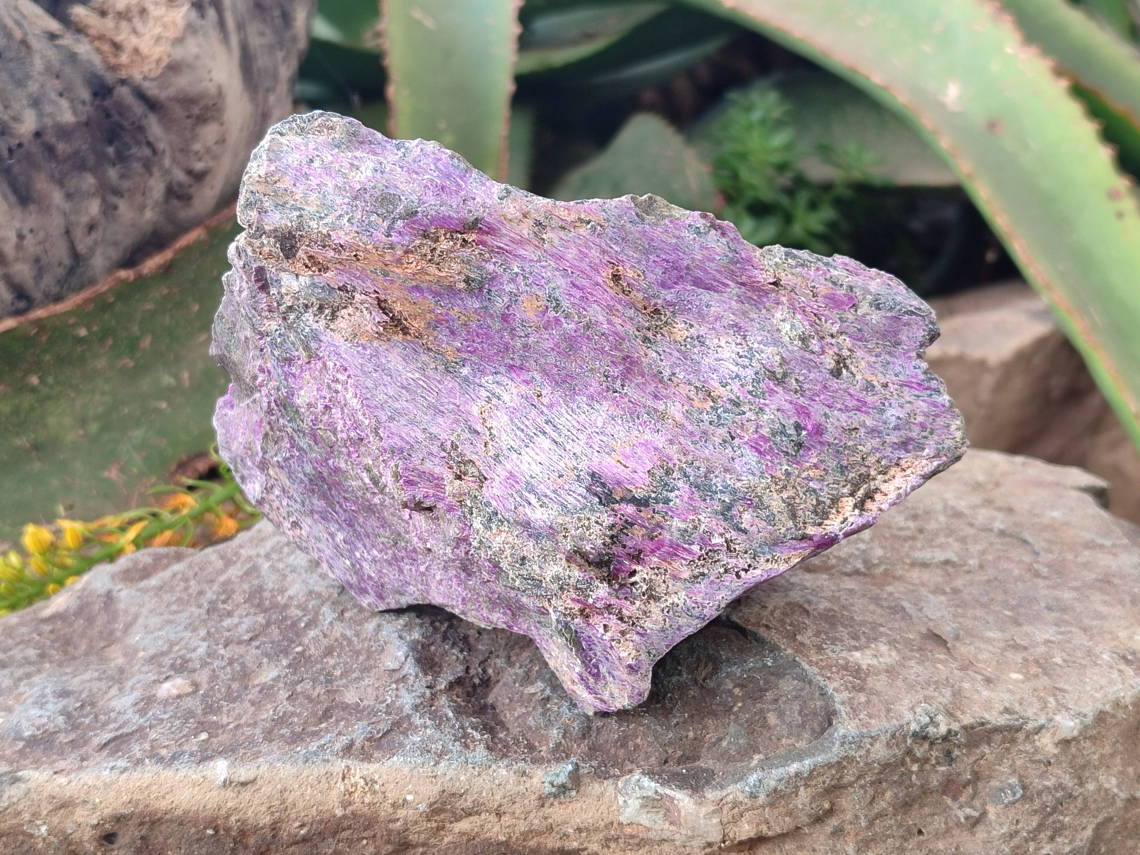 Natural Stichtite Specimens x 4 From Barberton, South Africa - Toprock Gemstones and Minerals 