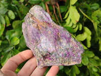 Natural Stichtite Specimens x 4 From Barberton, South Africa