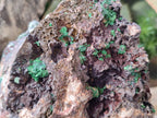 Natural Ball Malachite On Dolomite Matrix Specimen x 1 From Kambove, Congo - Toprock Gemstones and Minerals 