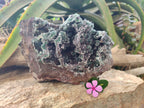Natural Ball Malachite On Dolomite Matrix Specimen x 1 From Kambove, Congo - Toprock Gemstones and Minerals 
