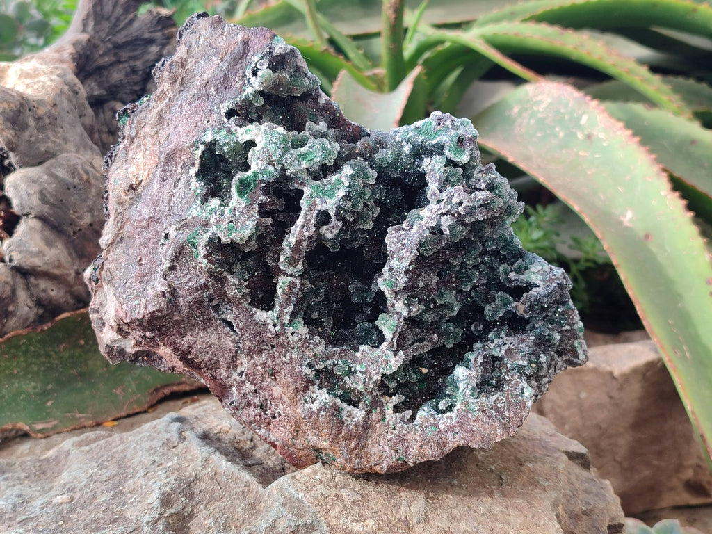 Natural Ball Malachite On Dolomite Matrix Specimen x 1 From Kambove, Congo - Toprock Gemstones and Minerals 