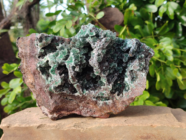 Natural Ball Malachite On Dolomite Matrix Specimen x 1 From Kambove, Congo
