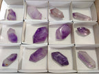 Polished Window Amethyst Crystals x 12 From Madagascar - Toprock Gemstones and Minerals 