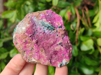 Natural Drusy Salrose on Dolomite Matrix Specimens x 6 From Kakanda, Congo