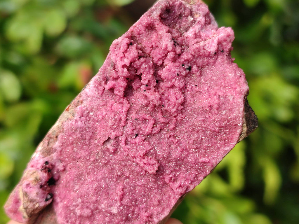 Natural Drusy Salrose on Dolomite Matrix Specimens x 6 From Kakanda, Congo - Toprock Gemstones and Minerals 