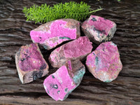 Natural Drusy Salrose on Dolomite Matrix Specimens x 6 From Kakanda, Congo