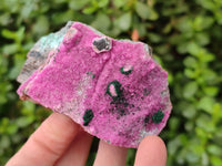Natural Drusy Salrose on Dolomite Matrix Specimens x 6 From Kakanda, Congo