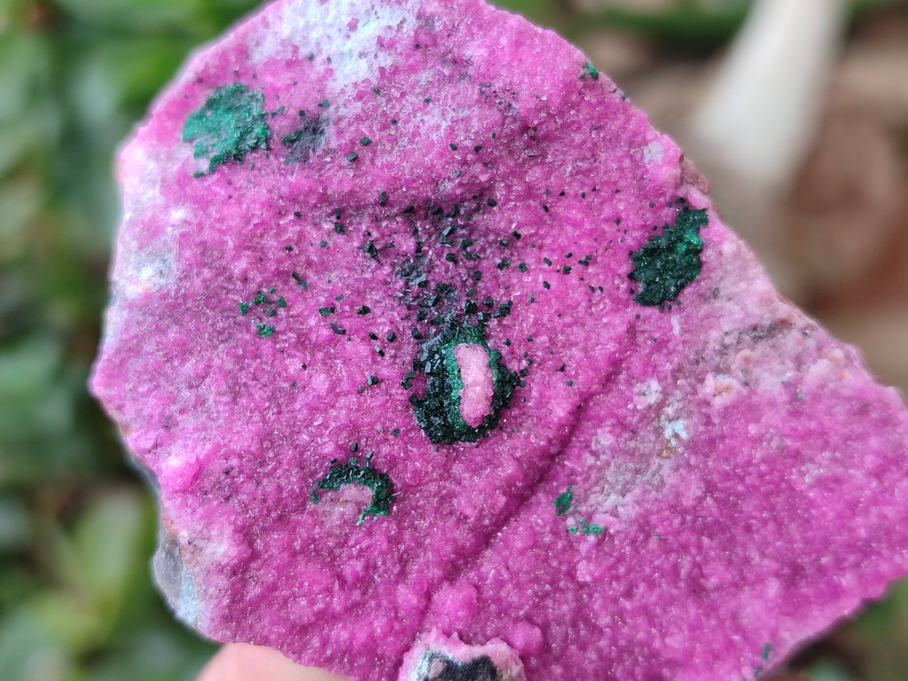 Natural Drusy Salrose on Dolomite Matrix Specimens x 6 From Kakanda, Congo - Toprock Gemstones and Minerals 