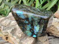 Polished Labradorite Standing Free Form x 1 From Tulear, Madagascar - Toprock Gemstones and Minerals 