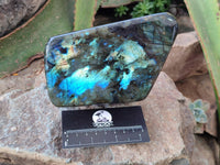 Polished Labradorite Standing Free Form x 1 From Tulear, Madagascar - Toprock Gemstones and Minerals 